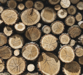 Lesna biomasa
